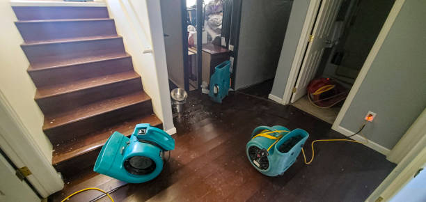 Best Local water damage restoration  in Hawaiian Gardens, CA