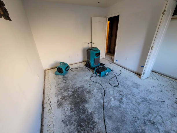 Best Local water damage restoration  in Hawaiian Gardens, CA