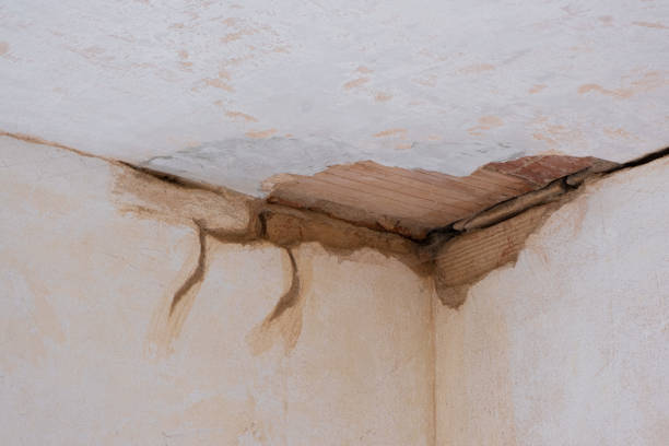 Best Ceiling water damage repair  in Hawaiian Gardens, CA