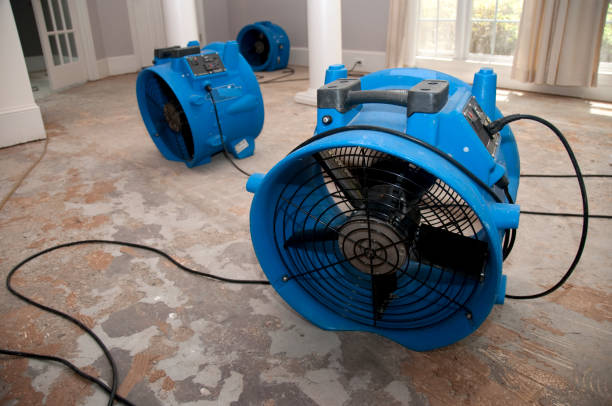 Best Commercial water damage restoration  in Hawaiian Gardens, CA