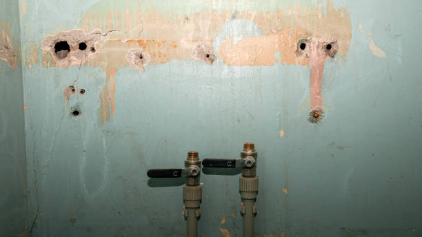 Best Emergency water damage restoration  in Hawaiian Gardens, CA