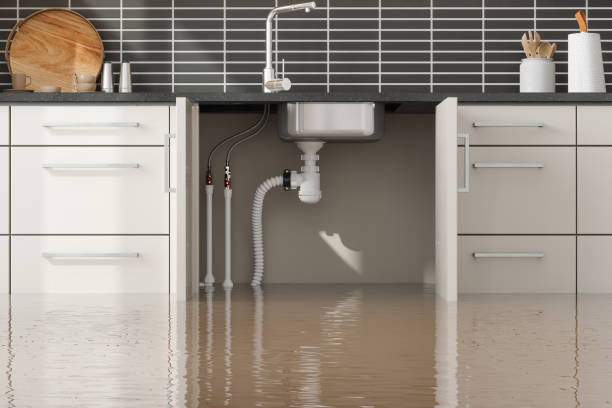 Best Water damage restoration near me  in Hawaiian Gardens, CA