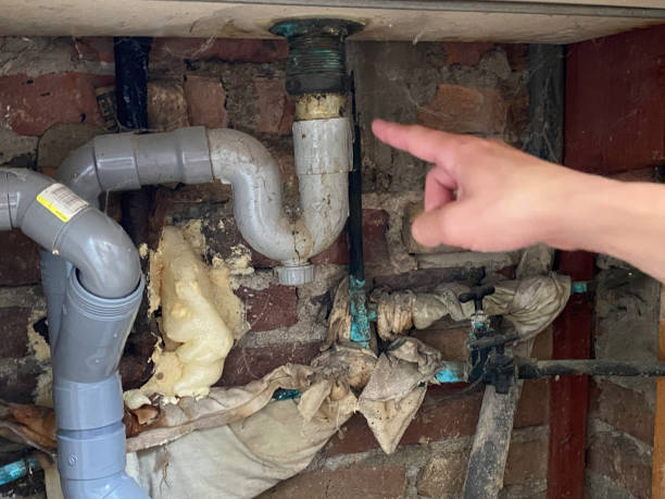 Best Water damage cleanup near me  in Hawaiian Gardens, CA